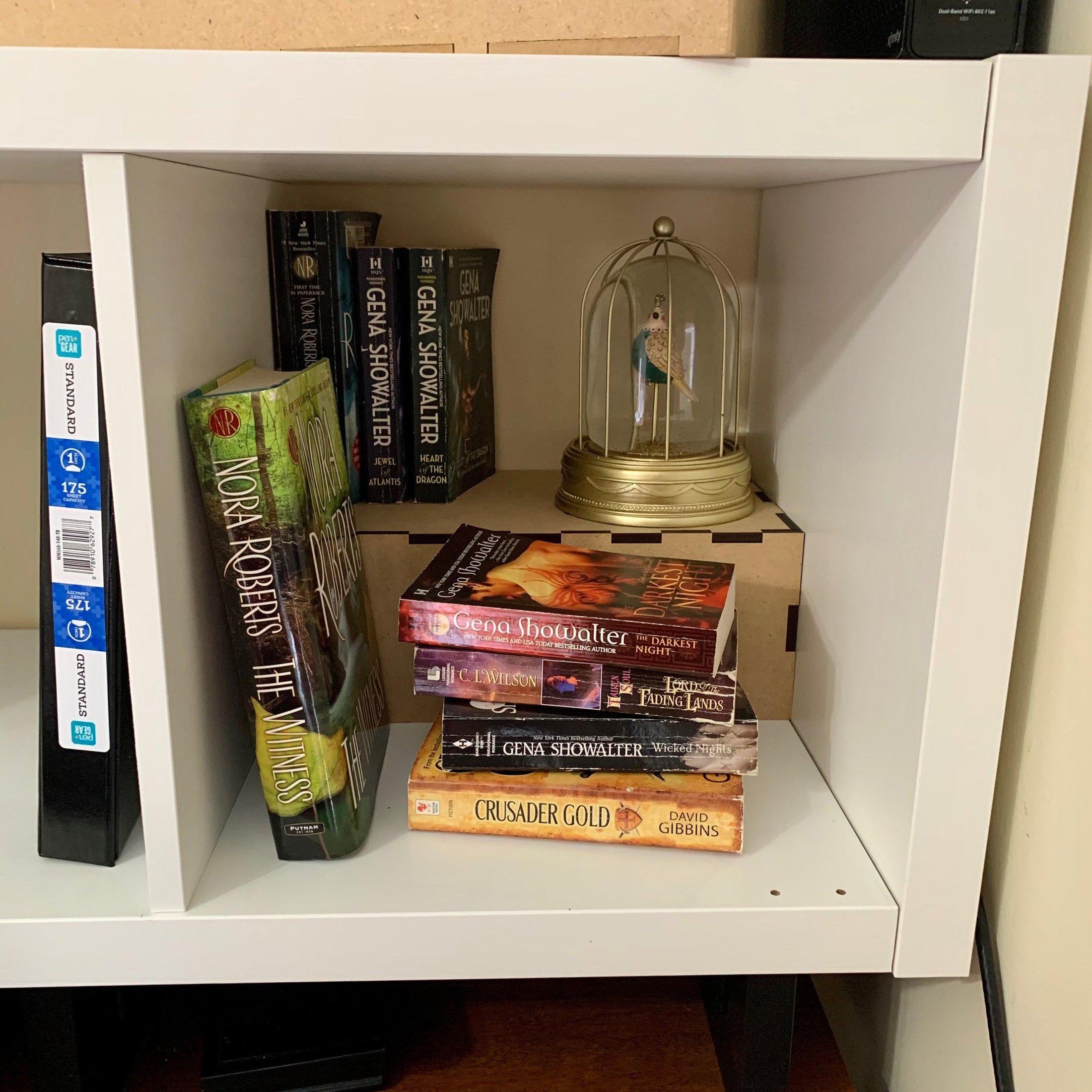 DVD Display Shelf Insert for IKEA Kallax-The Steady Hand