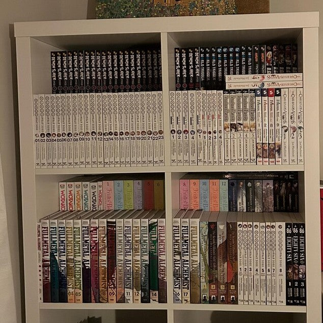 DVD Shelf Insert from thesteadyhandshop.com used to organize manga.