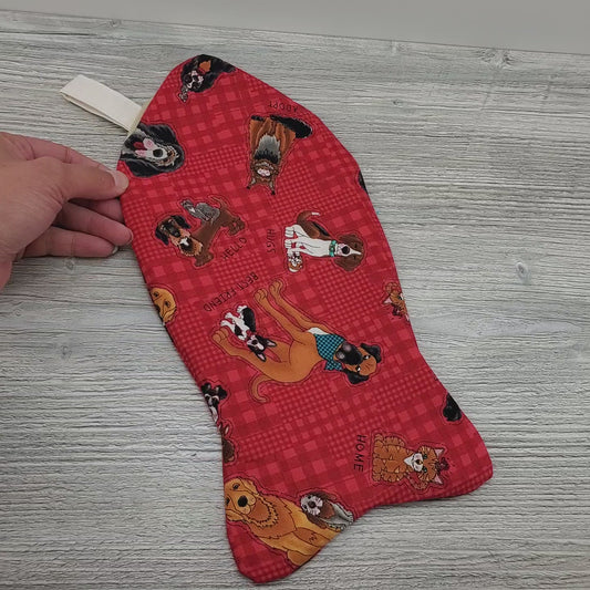 Video of fish shaped rescued pet holiday stocking.