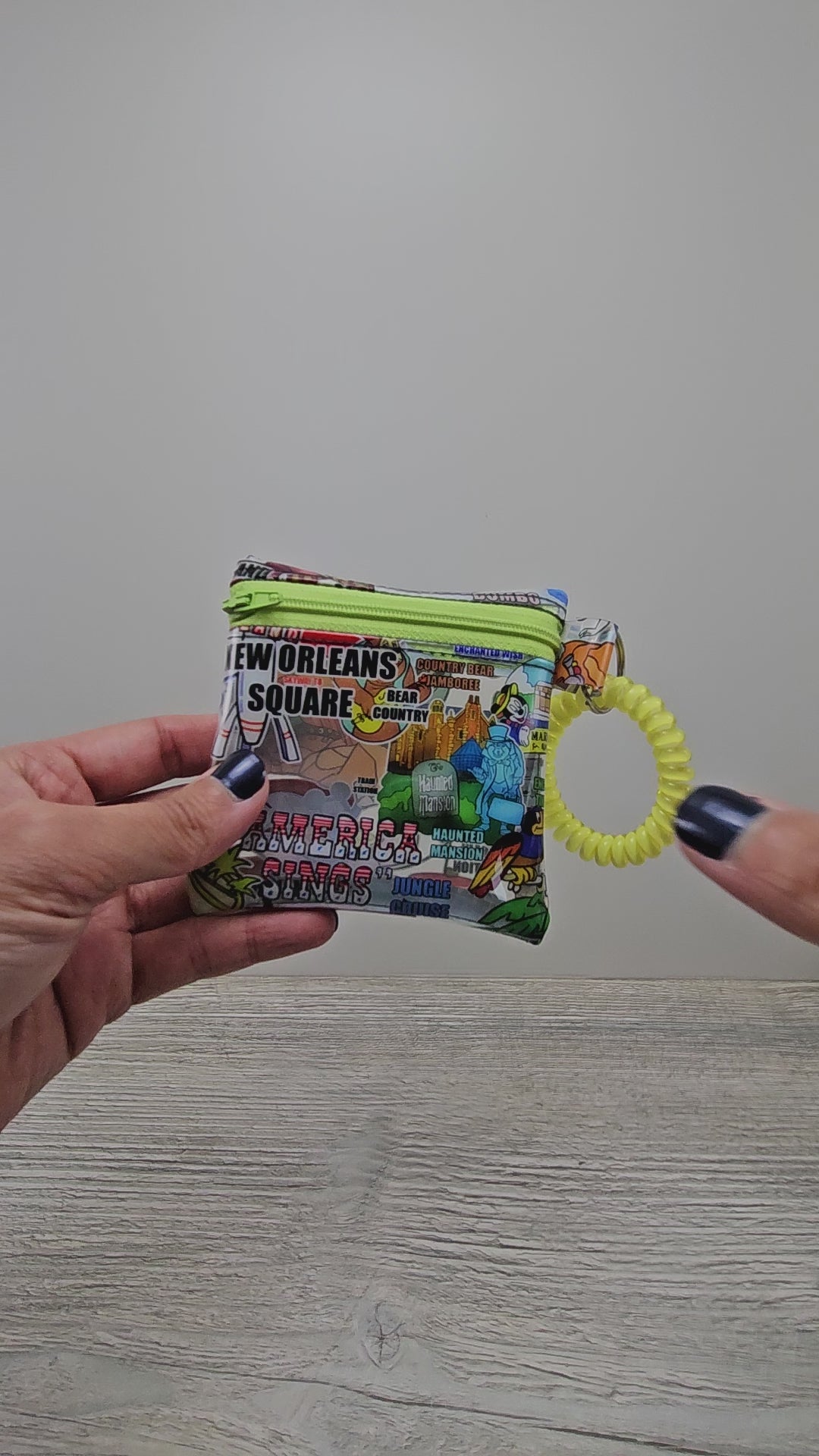 Video of the mini clear vinyl magical parks wristlet pouch.